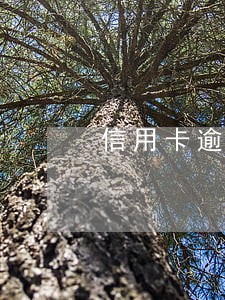 信用卡逾期 个人信用 信用卡逾期 个人信用